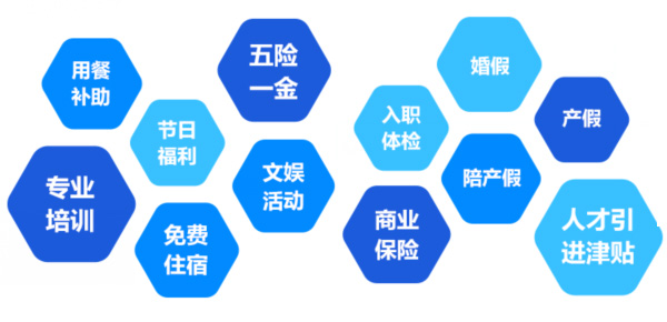 提供全面、系統(tǒng)、專業(yè)的培訓和廣闊的<br>職業(yè)發(fā)展空間和提升機會